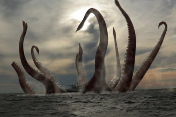 Kraken russia