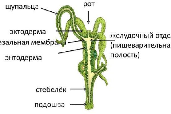 Kraken официальная ссылка